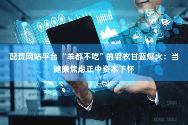 配资网站平台 “羊都不吃”的羽衣甘蓝爆火：当健康焦虑正中资本下怀